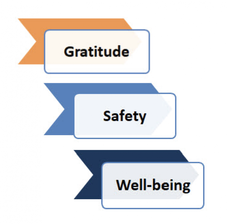Gratitude safety wellbeing