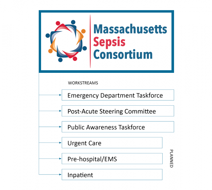 Sepsis Consortium workflow graphic