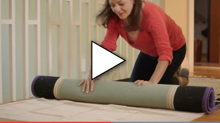 Aarp Mobility Vid1