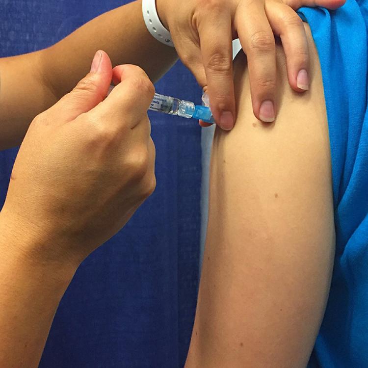 Flu Shot Small