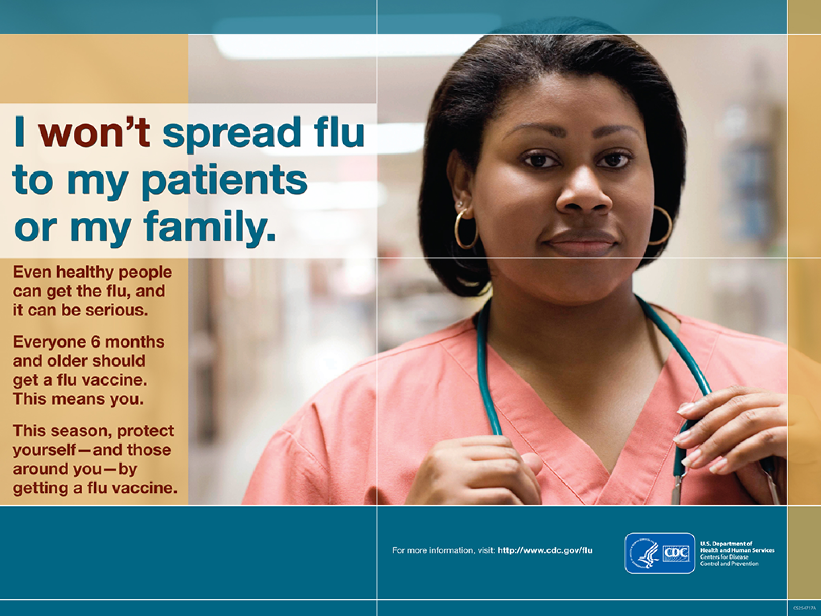 FLU poster large