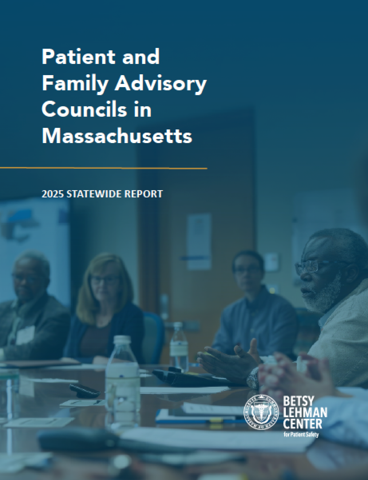 2025 PFAC Report Cover
