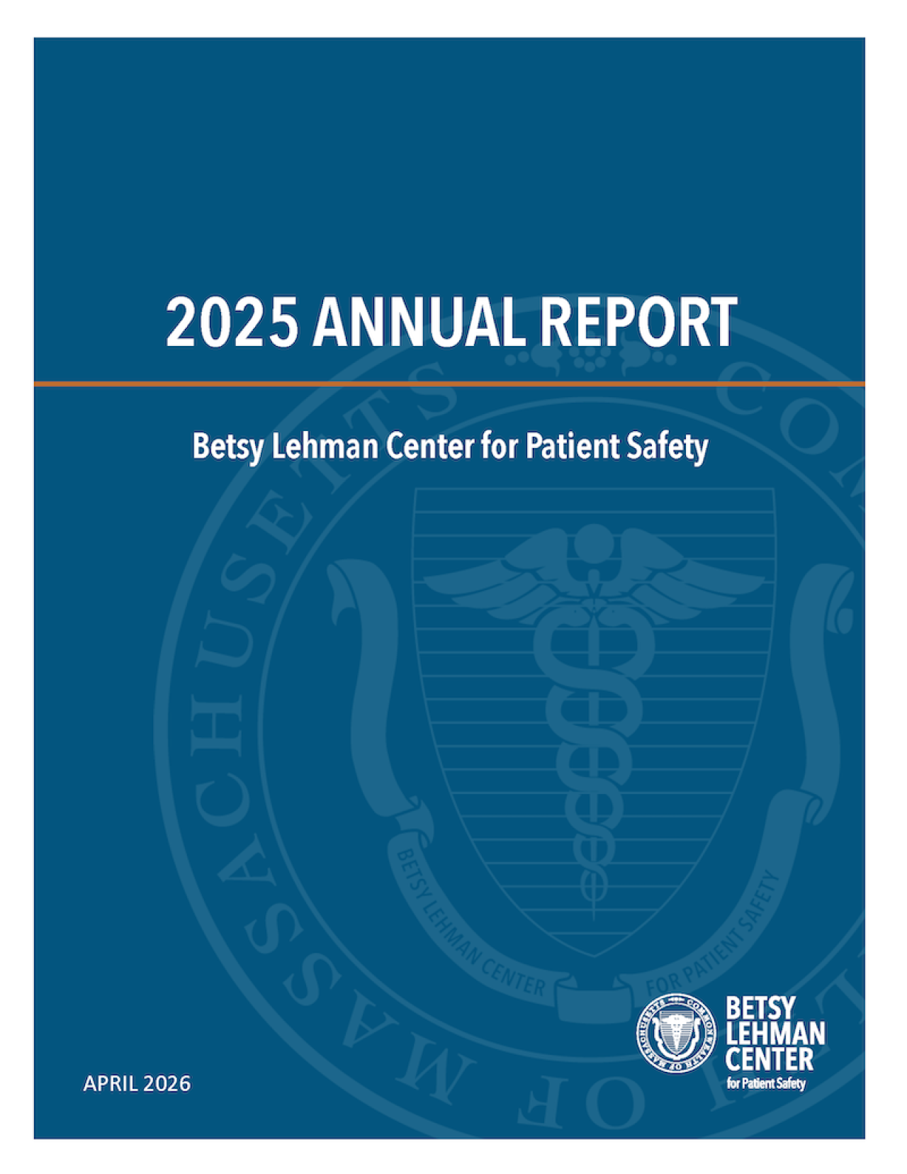 2025 Report Cover